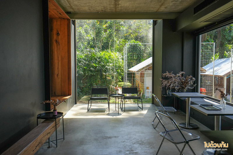 ร้านกาแฟเขาค้อ, เที่ยวเขาค้อ, คาเฟ่เขาค้อ, taproot เขาค้อ, taproot เขาค้อ คาเฟ่ผนังกระจกสุดเท่