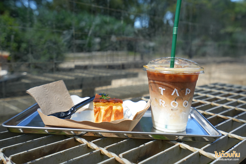 ร้านกาแฟเขาค้อ, เที่ยวเขาค้อ, คาเฟ่เขาค้อ, taproot เขาค้อ, taproot เขาค้อ คาเฟ่ผนังกระจกสุดเท่