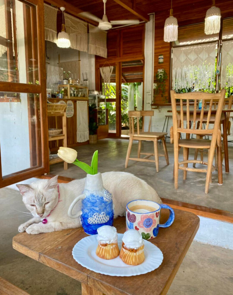 top 10+ คาเฟ่แพร่ 2567 คาเฟ่ในเมือง เปิดใหม่ ร้านสวย บรรยากาศดี กาแฟอร่อย