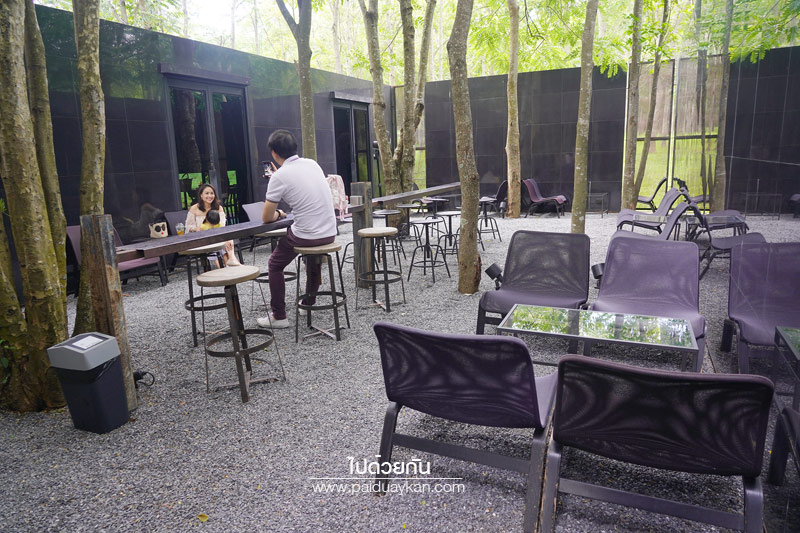 ร้านกาแฟเขาใหญ่, คาเฟ่เขาใหญ่, yellow submarine เขาใหญ่, yellow submarine ร้านกาแฟดีไซน์อาร์ท กลางป่า