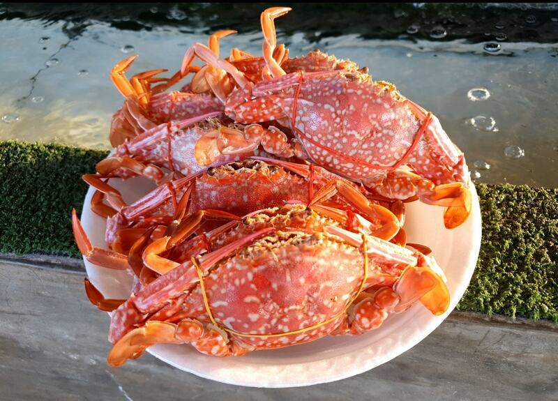 หมูกระทะ สระบุรี : รวมร้านหมูกระทะแห่งชาติ เจ้าเด็ด เจ้าดัง รสชาติน้ำจิ้มสุดปัง! ไม่ไปไม่ได้แล้ววว