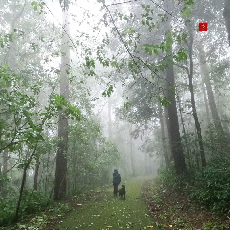 ขุนช่างเคี่ยน, ดอยปุย, ดอยสุเทพ, ดอยหัวหมู, ยอดดอยปุย, วิ่งเทรลเชียงใหม่, เดินป่าหน้าฝน, เดินป่าเชียงใหม่, ดอยหัวหมู เดินป่าหน้าฝน ยอดดอยปุย ดอยสุเทพ