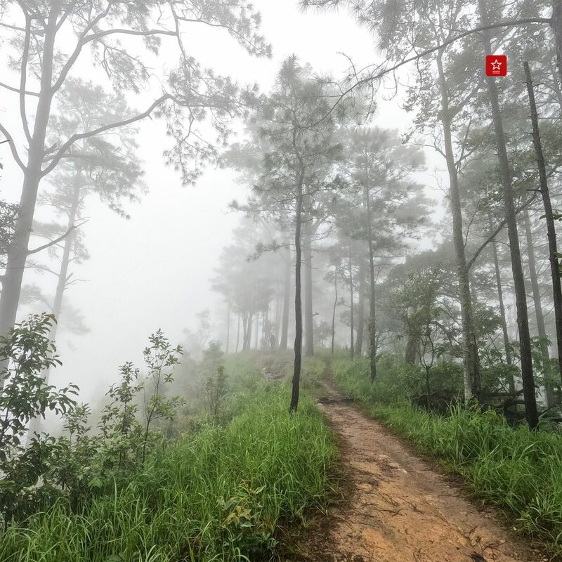 ขุนช่างเคี่ยน, ดอยปุย, ดอยสุเทพ, ดอยหัวหมู, ยอดดอยปุย, วิ่งเทรลเชียงใหม่, เดินป่าหน้าฝน, เดินป่าเชียงใหม่, ดอยหัวหมู เดินป่าหน้าฝน ยอดดอยปุย ดอยสุเทพ