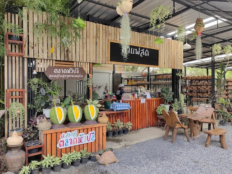 9th september eat drink tree, saraburi, so.w cafe, คาเฟ่สระบุรี, ดงพญาเย็น, ตลาดหัวปลี, ถ้ำกระบอก, ถ้ำนาคา, ถ้ำมรกตอธิบดีเวชสุวรรณ, ทานตะวันสระบุรี, ท้ายเขื่อนป่าสักชลสิทธิ์, ท้าวเวชสุวรรณร่างมนุษย์, ที่เที่ยวสระบุรี, ที่เที่ยวสระบุรี 2023, ที่เที่ยวสระบุรี 2024, ที่เที่ยวสระบุรี 2566, ที่เที่ยวสระบุรี 2567, ที่เที่ยวสระบุรี ธรรมชาติ, ทุ่งทานตะวัน, น้ำตก สระบุรี, น้ำตกดงพญาเย็น, น้ำตกสามหลั่น, น้ำตกเจ็ดสาวน้อย, นิวซีแลนด์เมืองไทย, บ้านเลียงผา, พระพุทธรูปหินลาวา, พุแค, ฟาร์มโคนม, ฟาร์มโคนมไทยเดนมาร์ค, วัดถ้ำกระบอก, วัดถ้ำบาดาล, วัดป่าสว่างบุญ, วัดพระพุทธบาท, วัดเจดีย์500 ยอด, วัดแก่งคอย, สระบุรี, สระบุรี ที่เที่ยว, สวนดอกเบญจมาศ บิ๊กเต้, สวนบิ๊กเต้, สวนพฤกษศาสตร์พุแค, หน่วยพิทักษ์ป่าท่าฤทธิ์, อ่างเก็บน้ำมวกเหล็ก, อ่างเก็บน้ำสระบุรี, อุทยานแห่งชาติน้ำตกสามหลั่น, อุโมงค์พระพุทธฉาย, อุโมงค์รถไฟ, เจ็ดคต, เจ็ดคต โป่งก้อนเส้า, เจ็ดสาวน้อย, เที่ยวสระบุรี, เที่ยวสระบุรี 2023, เที่ยวสระบุรี 2024, เที่ยวสระบุรี 2567, top 20+ ที่เที่ยวสระบุรี [กรกฎาคม2024] ใกล้ชิดธรรมชาติฟิน ๆ ไม่ไกลกรุงเทพฯ