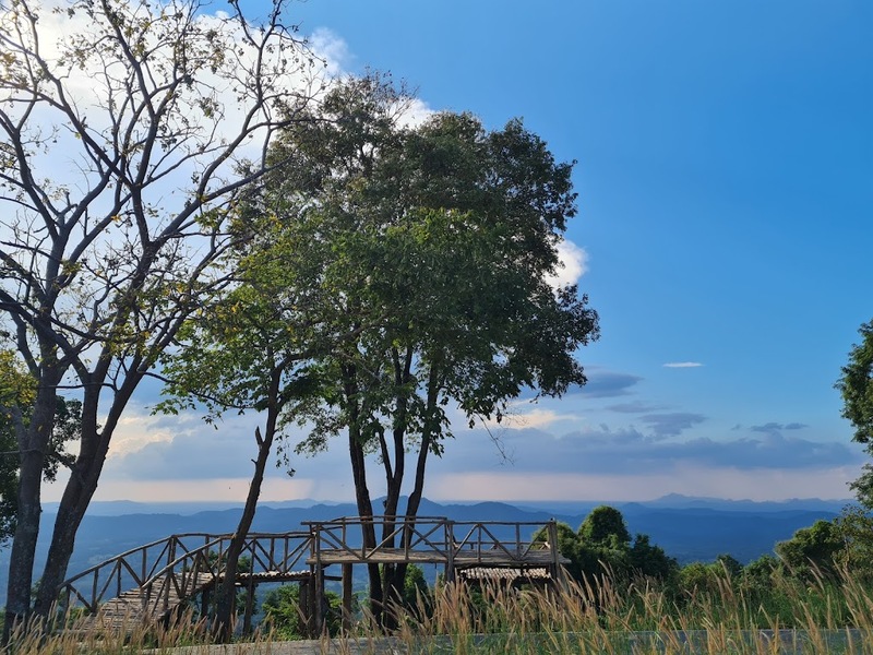 9th september eat drink tree, saraburi, so.w cafe, คาเฟ่สระบุรี, ดงพญาเย็น, ตลาดหัวปลี, ถ้ำกระบอก, ถ้ำนาคา, ถ้ำมรกตอธิบดีเวชสุวรรณ, ทานตะวันสระบุรี, ท้ายเขื่อนป่าสักชลสิทธิ์, ท้าวเวชสุวรรณร่างมนุษย์, ที่เที่ยวสระบุรี, ที่เที่ยวสระบุรี 2023, ที่เที่ยวสระบุรี 2024, ที่เที่ยวสระบุรี 2566, ที่เที่ยวสระบุรี 2567, ที่เที่ยวสระบุรี ธรรมชาติ, ทุ่งทานตะวัน, น้ำตก สระบุรี, น้ำตกดงพญาเย็น, น้ำตกสามหลั่น, น้ำตกเจ็ดสาวน้อย, นิวซีแลนด์เมืองไทย, บ้านเลียงผา, พระพุทธรูปหินลาวา, พุแค, ฟาร์มโคนม, ฟาร์มโคนมไทยเดนมาร์ค, วัดถ้ำกระบอก, วัดถ้ำบาดาล, วัดป่าสว่างบุญ, วัดพระพุทธบาท, วัดเจดีย์500 ยอด, วัดแก่งคอย, สระบุรี, สระบุรี ที่เที่ยว, สวนดอกเบญจมาศ บิ๊กเต้, สวนบิ๊กเต้, สวนพฤกษศาสตร์พุแค, หน่วยพิทักษ์ป่าท่าฤทธิ์, อ่างเก็บน้ำมวกเหล็ก, อ่างเก็บน้ำสระบุรี, อุทยานแห่งชาติน้ำตกสามหลั่น, อุโมงค์พระพุทธฉาย, อุโมงค์รถไฟ, เจ็ดคต, เจ็ดคต โป่งก้อนเส้า, เจ็ดสาวน้อย, เที่ยวสระบุรี, เที่ยวสระบุรี 2023, เที่ยวสระบุรี 2024, เที่ยวสระบุรี 2567, top 20+ ที่เที่ยวสระบุรี [กรกฎาคม2024] ใกล้ชิดธรรมชาติฟิน ๆ ไม่ไกลกรุงเทพฯ