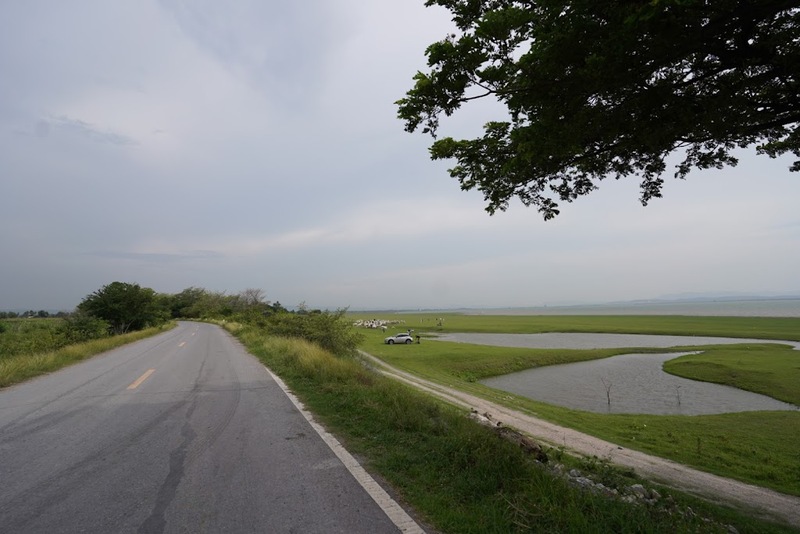 9th september eat drink tree, saraburi, so.w cafe, คาเฟ่สระบุรี, ดงพญาเย็น, ตลาดหัวปลี, ถ้ำกระบอก, ถ้ำนาคา, ถ้ำมรกตอธิบดีเวชสุวรรณ, ทานตะวันสระบุรี, ท้ายเขื่อนป่าสักชลสิทธิ์, ท้าวเวชสุวรรณร่างมนุษย์, ที่เที่ยวสระบุรี, ที่เที่ยวสระบุรี 2023, ที่เที่ยวสระบุรี 2024, ที่เที่ยวสระบุรี 2566, ที่เที่ยวสระบุรี 2567, ที่เที่ยวสระบุรี ธรรมชาติ, ทุ่งทานตะวัน, น้ำตก สระบุรี, น้ำตกดงพญาเย็น, น้ำตกสามหลั่น, น้ำตกเจ็ดสาวน้อย, นิวซีแลนด์เมืองไทย, บ้านเลียงผา, พระพุทธรูปหินลาวา, พุแค, ฟาร์มโคนม, ฟาร์มโคนมไทยเดนมาร์ค, วัดถ้ำกระบอก, วัดถ้ำบาดาล, วัดป่าสว่างบุญ, วัดพระพุทธบาท, วัดเจดีย์500 ยอด, วัดแก่งคอย, สระบุรี, สระบุรี ที่เที่ยว, สวนดอกเบญจมาศ บิ๊กเต้, สวนบิ๊กเต้, สวนพฤกษศาสตร์พุแค, หน่วยพิทักษ์ป่าท่าฤทธิ์, อ่างเก็บน้ำมวกเหล็ก, อ่างเก็บน้ำสระบุรี, อุทยานแห่งชาติน้ำตกสามหลั่น, อุโมงค์พระพุทธฉาย, อุโมงค์รถไฟ, เจ็ดคต, เจ็ดคต โป่งก้อนเส้า, เจ็ดสาวน้อย, เที่ยวสระบุรี, เที่ยวสระบุรี 2023, เที่ยวสระบุรี 2024, เที่ยวสระบุรี 2567, top 20+ ที่เที่ยวสระบุรี [กรกฎาคม2024] ใกล้ชิดธรรมชาติฟิน ๆ ไม่ไกลกรุงเทพฯ