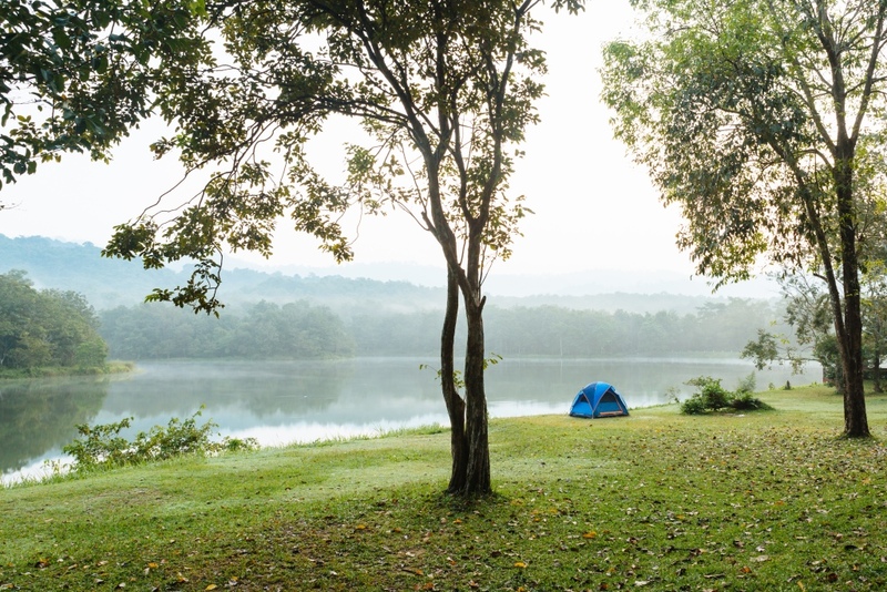 9th september eat drink tree, saraburi, so.w cafe, คาเฟ่สระบุรี, ดงพญาเย็น, ตลาดหัวปลี, ถ้ำกระบอก, ถ้ำนาคา, ถ้ำมรกตอธิบดีเวชสุวรรณ, ทานตะวันสระบุรี, ท้ายเขื่อนป่าสักชลสิทธิ์, ท้าวเวชสุวรรณร่างมนุษย์, ที่เที่ยวสระบุรี, ที่เที่ยวสระบุรี 2023, ที่เที่ยวสระบุรี 2024, ที่เที่ยวสระบุรี 2566, ที่เที่ยวสระบุรี 2567, ที่เที่ยวสระบุรี ธรรมชาติ, ทุ่งทานตะวัน, น้ำตก สระบุรี, น้ำตกดงพญาเย็น, น้ำตกสามหลั่น, น้ำตกเจ็ดสาวน้อย, นิวซีแลนด์เมืองไทย, บ้านเลียงผา, พระพุทธรูปหินลาวา, พุแค, ฟาร์มโคนม, ฟาร์มโคนมไทยเดนมาร์ค, วัดถ้ำกระบอก, วัดถ้ำบาดาล, วัดป่าสว่างบุญ, วัดพระพุทธบาท, วัดเจดีย์500 ยอด, วัดแก่งคอย, สระบุรี, สระบุรี ที่เที่ยว, สวนดอกเบญจมาศ บิ๊กเต้, สวนบิ๊กเต้, สวนพฤกษศาสตร์พุแค, หน่วยพิทักษ์ป่าท่าฤทธิ์, อ่างเก็บน้ำมวกเหล็ก, อ่างเก็บน้ำสระบุรี, อุทยานแห่งชาติน้ำตกสามหลั่น, อุโมงค์พระพุทธฉาย, อุโมงค์รถไฟ, เจ็ดคต, เจ็ดคต โป่งก้อนเส้า, เจ็ดสาวน้อย, เที่ยวสระบุรี, เที่ยวสระบุรี 2023, เที่ยวสระบุรี 2024, เที่ยวสระบุรี 2567, top 20+ ที่เที่ยวสระบุรี [กรกฎาคม2024] ใกล้ชิดธรรมชาติฟิน ๆ ไม่ไกลกรุงเทพฯ