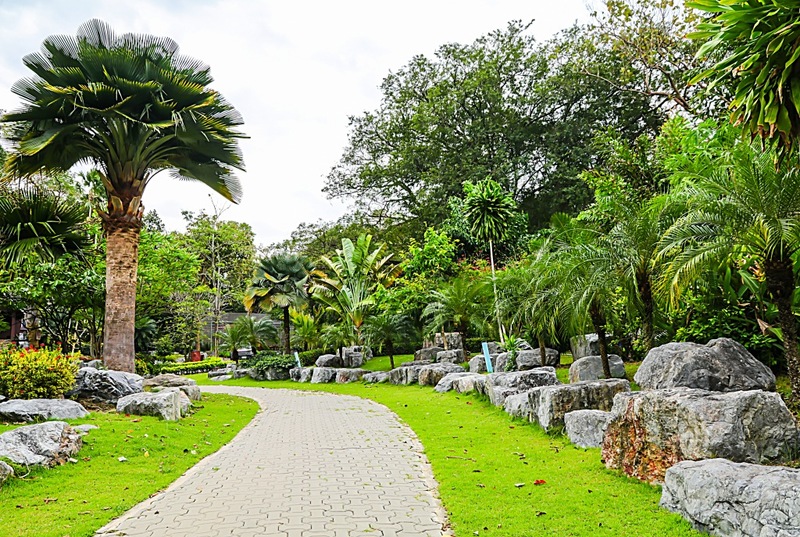 9th september eat drink tree, saraburi, so.w cafe, คาเฟ่สระบุรี, ดงพญาเย็น, ตลาดหัวปลี, ถ้ำกระบอก, ถ้ำนาคา, ถ้ำมรกตอธิบดีเวชสุวรรณ, ทานตะวันสระบุรี, ท้ายเขื่อนป่าสักชลสิทธิ์, ท้าวเวชสุวรรณร่างมนุษย์, ที่เที่ยวสระบุรี, ที่เที่ยวสระบุรี 2023, ที่เที่ยวสระบุรี 2024, ที่เที่ยวสระบุรี 2566, ที่เที่ยวสระบุรี 2567, ที่เที่ยวสระบุรี ธรรมชาติ, ทุ่งทานตะวัน, น้ำตก สระบุรี, น้ำตกดงพญาเย็น, น้ำตกสามหลั่น, น้ำตกเจ็ดสาวน้อย, นิวซีแลนด์เมืองไทย, บ้านเลียงผา, พระพุทธรูปหินลาวา, พุแค, ฟาร์มโคนม, ฟาร์มโคนมไทยเดนมาร์ค, วัดถ้ำกระบอก, วัดถ้ำบาดาล, วัดป่าสว่างบุญ, วัดพระพุทธบาท, วัดเจดีย์500 ยอด, วัดแก่งคอย, สระบุรี, สระบุรี ที่เที่ยว, สวนดอกเบญจมาศ บิ๊กเต้, สวนบิ๊กเต้, สวนพฤกษศาสตร์พุแค, หน่วยพิทักษ์ป่าท่าฤทธิ์, อ่างเก็บน้ำมวกเหล็ก, อ่างเก็บน้ำสระบุรี, อุทยานแห่งชาติน้ำตกสามหลั่น, อุโมงค์พระพุทธฉาย, อุโมงค์รถไฟ, เจ็ดคต, เจ็ดคต โป่งก้อนเส้า, เจ็ดสาวน้อย, เที่ยวสระบุรี, เที่ยวสระบุรี 2023, เที่ยวสระบุรี 2024, เที่ยวสระบุรี 2567, top 20+ ที่เที่ยวสระบุรี [กรกฎาคม2024] ใกล้ชิดธรรมชาติฟิน ๆ ไม่ไกลกรุงเทพฯ