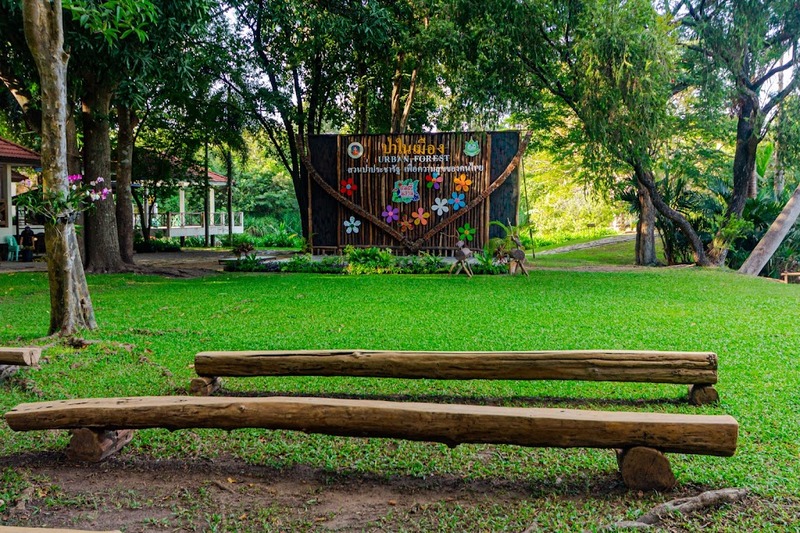 9th september eat drink tree, saraburi, so.w cafe, คาเฟ่สระบุรี, ดงพญาเย็น, ตลาดหัวปลี, ถ้ำกระบอก, ถ้ำนาคา, ถ้ำมรกตอธิบดีเวชสุวรรณ, ทานตะวันสระบุรี, ท้ายเขื่อนป่าสักชลสิทธิ์, ท้าวเวชสุวรรณร่างมนุษย์, ที่เที่ยวสระบุรี, ที่เที่ยวสระบุรี 2023, ที่เที่ยวสระบุรี 2024, ที่เที่ยวสระบุรี 2566, ที่เที่ยวสระบุรี 2567, ที่เที่ยวสระบุรี ธรรมชาติ, ทุ่งทานตะวัน, น้ำตก สระบุรี, น้ำตกดงพญาเย็น, น้ำตกสามหลั่น, น้ำตกเจ็ดสาวน้อย, นิวซีแลนด์เมืองไทย, บ้านเลียงผา, พระพุทธรูปหินลาวา, พุแค, ฟาร์มโคนม, ฟาร์มโคนมไทยเดนมาร์ค, วัดถ้ำกระบอก, วัดถ้ำบาดาล, วัดป่าสว่างบุญ, วัดพระพุทธบาท, วัดเจดีย์500 ยอด, วัดแก่งคอย, สระบุรี, สระบุรี ที่เที่ยว, สวนดอกเบญจมาศ บิ๊กเต้, สวนบิ๊กเต้, สวนพฤกษศาสตร์พุแค, หน่วยพิทักษ์ป่าท่าฤทธิ์, อ่างเก็บน้ำมวกเหล็ก, อ่างเก็บน้ำสระบุรี, อุทยานแห่งชาติน้ำตกสามหลั่น, อุโมงค์พระพุทธฉาย, อุโมงค์รถไฟ, เจ็ดคต, เจ็ดคต โป่งก้อนเส้า, เจ็ดสาวน้อย, เที่ยวสระบุรี, เที่ยวสระบุรี 2023, เที่ยวสระบุรี 2024, เที่ยวสระบุรี 2567, top 20+ ที่เที่ยวสระบุรี [กรกฎาคม2024] ใกล้ชิดธรรมชาติฟิน ๆ ไม่ไกลกรุงเทพฯ