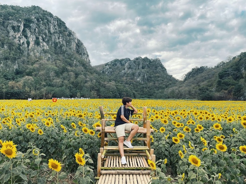 9th september eat drink tree, saraburi, so.w cafe, คาเฟ่สระบุรี, ดงพญาเย็น, ตลาดหัวปลี, ถ้ำกระบอก, ถ้ำนาคา, ถ้ำมรกตอธิบดีเวชสุวรรณ, ทานตะวันสระบุรี, ท้ายเขื่อนป่าสักชลสิทธิ์, ท้าวเวชสุวรรณร่างมนุษย์, ที่เที่ยวสระบุรี, ที่เที่ยวสระบุรี 2023, ที่เที่ยวสระบุรี 2024, ที่เที่ยวสระบุรี 2566, ที่เที่ยวสระบุรี 2567, ที่เที่ยวสระบุรี ธรรมชาติ, ทุ่งทานตะวัน, น้ำตก สระบุรี, น้ำตกดงพญาเย็น, น้ำตกสามหลั่น, น้ำตกเจ็ดสาวน้อย, นิวซีแลนด์เมืองไทย, บ้านเลียงผา, พระพุทธรูปหินลาวา, พุแค, ฟาร์มโคนม, ฟาร์มโคนมไทยเดนมาร์ค, วัดถ้ำกระบอก, วัดถ้ำบาดาล, วัดป่าสว่างบุญ, วัดพระพุทธบาท, วัดเจดีย์500 ยอด, วัดแก่งคอย, สระบุรี, สระบุรี ที่เที่ยว, สวนดอกเบญจมาศ บิ๊กเต้, สวนบิ๊กเต้, สวนพฤกษศาสตร์พุแค, หน่วยพิทักษ์ป่าท่าฤทธิ์, อ่างเก็บน้ำมวกเหล็ก, อ่างเก็บน้ำสระบุรี, อุทยานแห่งชาติน้ำตกสามหลั่น, อุโมงค์พระพุทธฉาย, อุโมงค์รถไฟ, เจ็ดคต, เจ็ดคต โป่งก้อนเส้า, เจ็ดสาวน้อย, เที่ยวสระบุรี, เที่ยวสระบุรี 2023, เที่ยวสระบุรี 2024, เที่ยวสระบุรี 2567, top 20+ ที่เที่ยวสระบุรี [กรกฎาคม2024] ใกล้ชิดธรรมชาติฟิน ๆ ไม่ไกลกรุงเทพฯ