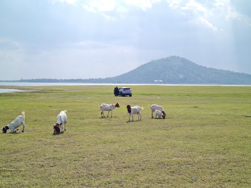 9th september eat drink tree, saraburi, so.w cafe, คาเฟ่สระบุรี, ดงพญาเย็น, ตลาดหัวปลี, ถ้ำกระบอก, ถ้ำนาคา, ถ้ำมรกตอธิบดีเวชสุวรรณ, ทานตะวันสระบุรี, ท้ายเขื่อนป่าสักชลสิทธิ์, ท้าวเวชสุวรรณร่างมนุษย์, ที่เที่ยวสระบุรี, ที่เที่ยวสระบุรี 2023, ที่เที่ยวสระบุรี 2024, ที่เที่ยวสระบุรี 2566, ที่เที่ยวสระบุรี 2567, ที่เที่ยวสระบุรี ธรรมชาติ, ทุ่งทานตะวัน, น้ำตก สระบุรี, น้ำตกดงพญาเย็น, น้ำตกสามหลั่น, น้ำตกเจ็ดสาวน้อย, นิวซีแลนด์เมืองไทย, บ้านเลียงผา, พระพุทธรูปหินลาวา, พุแค, ฟาร์มโคนม, ฟาร์มโคนมไทยเดนมาร์ค, วัดถ้ำกระบอก, วัดถ้ำบาดาล, วัดป่าสว่างบุญ, วัดพระพุทธบาท, วัดเจดีย์500 ยอด, วัดแก่งคอย, สระบุรี, สระบุรี ที่เที่ยว, สวนดอกเบญจมาศ บิ๊กเต้, สวนบิ๊กเต้, สวนพฤกษศาสตร์พุแค, หน่วยพิทักษ์ป่าท่าฤทธิ์, อ่างเก็บน้ำมวกเหล็ก, อ่างเก็บน้ำสระบุรี, อุทยานแห่งชาติน้ำตกสามหลั่น, อุโมงค์พระพุทธฉาย, อุโมงค์รถไฟ, เจ็ดคต, เจ็ดคต โป่งก้อนเส้า, เจ็ดสาวน้อย, เที่ยวสระบุรี, เที่ยวสระบุรี 2023, เที่ยวสระบุรี 2024, เที่ยวสระบุรี 2567, top 20+ ที่เที่ยวสระบุรี [กรกฎาคม2024] ใกล้ชิดธรรมชาติฟิน ๆ ไม่ไกลกรุงเทพฯ