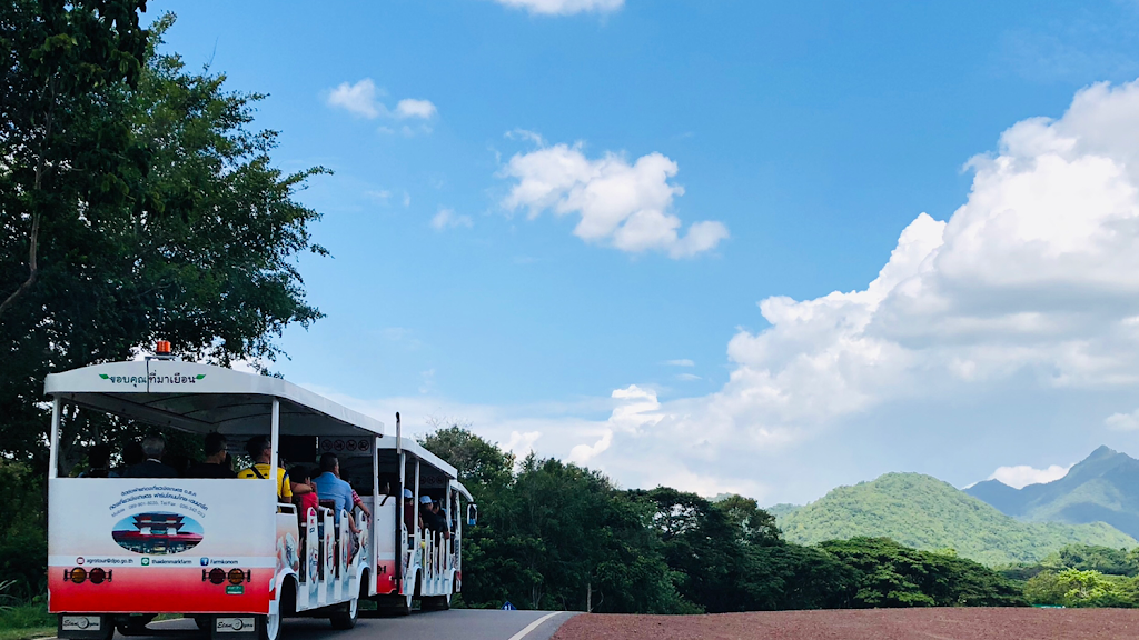 9th september eat drink tree, saraburi, so.w cafe, คาเฟ่สระบุรี, ดงพญาเย็น, ตลาดหัวปลี, ถ้ำกระบอก, ถ้ำนาคา, ถ้ำมรกตอธิบดีเวชสุวรรณ, ทานตะวันสระบุรี, ท้ายเขื่อนป่าสักชลสิทธิ์, ท้าวเวชสุวรรณร่างมนุษย์, ที่เที่ยวสระบุรี, ที่เที่ยวสระบุรี 2023, ที่เที่ยวสระบุรี 2024, ที่เที่ยวสระบุรี 2566, ที่เที่ยวสระบุรี 2567, ที่เที่ยวสระบุรี ธรรมชาติ, ทุ่งทานตะวัน, น้ำตก สระบุรี, น้ำตกดงพญาเย็น, น้ำตกสามหลั่น, น้ำตกเจ็ดสาวน้อย, นิวซีแลนด์เมืองไทย, บ้านเลียงผา, พระพุทธรูปหินลาวา, พุแค, ฟาร์มโคนม, ฟาร์มโคนมไทยเดนมาร์ค, วัดถ้ำกระบอก, วัดถ้ำบาดาล, วัดป่าสว่างบุญ, วัดพระพุทธบาท, วัดเจดีย์500 ยอด, วัดแก่งคอย, สระบุรี, สระบุรี ที่เที่ยว, สวนดอกเบญจมาศ บิ๊กเต้, สวนบิ๊กเต้, สวนพฤกษศาสตร์พุแค, หน่วยพิทักษ์ป่าท่าฤทธิ์, อ่างเก็บน้ำมวกเหล็ก, อ่างเก็บน้ำสระบุรี, อุทยานแห่งชาติน้ำตกสามหลั่น, อุโมงค์พระพุทธฉาย, อุโมงค์รถไฟ, เจ็ดคต, เจ็ดคต โป่งก้อนเส้า, เจ็ดสาวน้อย, เที่ยวสระบุรี, เที่ยวสระบุรี 2023, เที่ยวสระบุรี 2024, เที่ยวสระบุรี 2567, top 20+ ที่เที่ยวสระบุรี [กรกฎาคม2024] ใกล้ชิดธรรมชาติฟิน ๆ ไม่ไกลกรุงเทพฯ