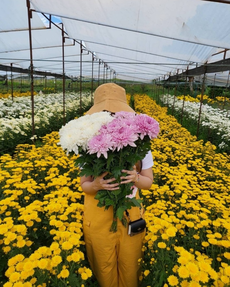 9th september eat drink tree, saraburi, so.w cafe, คาเฟ่สระบุรี, ดงพญาเย็น, ตลาดหัวปลี, ถ้ำกระบอก, ถ้ำนาคา, ถ้ำมรกตอธิบดีเวชสุวรรณ, ทานตะวันสระบุรี, ท้ายเขื่อนป่าสักชลสิทธิ์, ท้าวเวชสุวรรณร่างมนุษย์, ที่เที่ยวสระบุรี, ที่เที่ยวสระบุรี 2023, ที่เที่ยวสระบุรี 2024, ที่เที่ยวสระบุรี 2566, ที่เที่ยวสระบุรี 2567, ที่เที่ยวสระบุรี ธรรมชาติ, ทุ่งทานตะวัน, น้ำตก สระบุรี, น้ำตกดงพญาเย็น, น้ำตกสามหลั่น, น้ำตกเจ็ดสาวน้อย, นิวซีแลนด์เมืองไทย, บ้านเลียงผา, พระพุทธรูปหินลาวา, พุแค, ฟาร์มโคนม, ฟาร์มโคนมไทยเดนมาร์ค, วัดถ้ำกระบอก, วัดถ้ำบาดาล, วัดป่าสว่างบุญ, วัดพระพุทธบาท, วัดเจดีย์500 ยอด, วัดแก่งคอย, สระบุรี, สระบุรี ที่เที่ยว, สวนดอกเบญจมาศ บิ๊กเต้, สวนบิ๊กเต้, สวนพฤกษศาสตร์พุแค, หน่วยพิทักษ์ป่าท่าฤทธิ์, อ่างเก็บน้ำมวกเหล็ก, อ่างเก็บน้ำสระบุรี, อุทยานแห่งชาติน้ำตกสามหลั่น, อุโมงค์พระพุทธฉาย, อุโมงค์รถไฟ, เจ็ดคต, เจ็ดคต โป่งก้อนเส้า, เจ็ดสาวน้อย, เที่ยวสระบุรี, เที่ยวสระบุรี 2023, เที่ยวสระบุรี 2024, เที่ยวสระบุรี 2567, top 20+ ที่เที่ยวสระบุรี [กรกฎาคม2024] ใกล้ชิดธรรมชาติฟิน ๆ ไม่ไกลกรุงเทพฯ