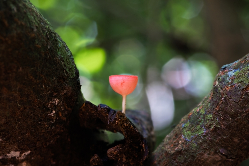 9th september eat drink tree, saraburi, so.w cafe, คาเฟ่สระบุรี, ดงพญาเย็น, ตลาดหัวปลี, ถ้ำกระบอก, ถ้ำนาคา, ถ้ำมรกตอธิบดีเวชสุวรรณ, ทานตะวันสระบุรี, ท้ายเขื่อนป่าสักชลสิทธิ์, ท้าวเวชสุวรรณร่างมนุษย์, ที่เที่ยวสระบุรี, ที่เที่ยวสระบุรี 2023, ที่เที่ยวสระบุรี 2024, ที่เที่ยวสระบุรี 2566, ที่เที่ยวสระบุรี 2567, ที่เที่ยวสระบุรี ธรรมชาติ, ทุ่งทานตะวัน, น้ำตก สระบุรี, น้ำตกดงพญาเย็น, น้ำตกสามหลั่น, น้ำตกเจ็ดสาวน้อย, นิวซีแลนด์เมืองไทย, บ้านเลียงผา, พระพุทธรูปหินลาวา, พุแค, ฟาร์มโคนม, ฟาร์มโคนมไทยเดนมาร์ค, วัดถ้ำกระบอก, วัดถ้ำบาดาล, วัดป่าสว่างบุญ, วัดพระพุทธบาท, วัดเจดีย์500 ยอด, วัดแก่งคอย, สระบุรี, สระบุรี ที่เที่ยว, สวนดอกเบญจมาศ บิ๊กเต้, สวนบิ๊กเต้, สวนพฤกษศาสตร์พุแค, หน่วยพิทักษ์ป่าท่าฤทธิ์, อ่างเก็บน้ำมวกเหล็ก, อ่างเก็บน้ำสระบุรี, อุทยานแห่งชาติน้ำตกสามหลั่น, อุโมงค์พระพุทธฉาย, อุโมงค์รถไฟ, เจ็ดคต, เจ็ดคต โป่งก้อนเส้า, เจ็ดสาวน้อย, เที่ยวสระบุรี, เที่ยวสระบุรี 2023, เที่ยวสระบุรี 2024, เที่ยวสระบุรี 2567, top 20+ ที่เที่ยวสระบุรี [กรกฎาคม2024] ใกล้ชิดธรรมชาติฟิน ๆ ไม่ไกลกรุงเทพฯ