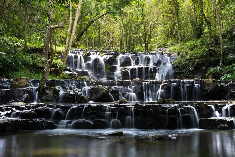 9th september eat drink tree, saraburi, so.w cafe, คาเฟ่สระบุรี, ดงพญาเย็น, ตลาดหัวปลี, ถ้ำกระบอก, ถ้ำนาคา, ถ้ำมรกตอธิบดีเวชสุวรรณ, ทานตะวันสระบุรี, ท้ายเขื่อนป่าสักชลสิทธิ์, ท้าวเวชสุวรรณร่างมนุษย์, ที่เที่ยวสระบุรี, ที่เที่ยวสระบุรี 2023, ที่เที่ยวสระบุรี 2024, ที่เที่ยวสระบุรี 2566, ที่เที่ยวสระบุรี 2567, ที่เที่ยวสระบุรี ธรรมชาติ, ทุ่งทานตะวัน, น้ำตก สระบุรี, น้ำตกดงพญาเย็น, น้ำตกสามหลั่น, น้ำตกเจ็ดสาวน้อย, นิวซีแลนด์เมืองไทย, บ้านเลียงผา, พระพุทธรูปหินลาวา, พุแค, ฟาร์มโคนม, ฟาร์มโคนมไทยเดนมาร์ค, วัดถ้ำกระบอก, วัดถ้ำบาดาล, วัดป่าสว่างบุญ, วัดพระพุทธบาท, วัดเจดีย์500 ยอด, วัดแก่งคอย, สระบุรี, สระบุรี ที่เที่ยว, สวนดอกเบญจมาศ บิ๊กเต้, สวนบิ๊กเต้, สวนพฤกษศาสตร์พุแค, หน่วยพิทักษ์ป่าท่าฤทธิ์, อ่างเก็บน้ำมวกเหล็ก, อ่างเก็บน้ำสระบุรี, อุทยานแห่งชาติน้ำตกสามหลั่น, อุโมงค์พระพุทธฉาย, อุโมงค์รถไฟ, เจ็ดคต, เจ็ดคต โป่งก้อนเส้า, เจ็ดสาวน้อย, เที่ยวสระบุรี, เที่ยวสระบุรี 2023, เที่ยวสระบุรี 2024, เที่ยวสระบุรี 2567, top 20+ ที่เที่ยวสระบุรี [กรกฎาคม2024] ใกล้ชิดธรรมชาติฟิน ๆ ไม่ไกลกรุงเทพฯ