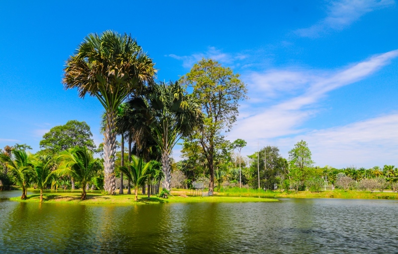 9th september eat drink tree, saraburi, so.w cafe, คาเฟ่สระบุรี, ดงพญาเย็น, ตลาดหัวปลี, ถ้ำกระบอก, ถ้ำนาคา, ถ้ำมรกตอธิบดีเวชสุวรรณ, ทานตะวันสระบุรี, ท้ายเขื่อนป่าสักชลสิทธิ์, ท้าวเวชสุวรรณร่างมนุษย์, ที่เที่ยวสระบุรี, ที่เที่ยวสระบุรี 2023, ที่เที่ยวสระบุรี 2024, ที่เที่ยวสระบุรี 2566, ที่เที่ยวสระบุรี 2567, ที่เที่ยวสระบุรี ธรรมชาติ, ทุ่งทานตะวัน, น้ำตก สระบุรี, น้ำตกดงพญาเย็น, น้ำตกสามหลั่น, น้ำตกเจ็ดสาวน้อย, นิวซีแลนด์เมืองไทย, บ้านเลียงผา, พระพุทธรูปหินลาวา, พุแค, ฟาร์มโคนม, ฟาร์มโคนมไทยเดนมาร์ค, วัดถ้ำกระบอก, วัดถ้ำบาดาล, วัดป่าสว่างบุญ, วัดพระพุทธบาท, วัดเจดีย์500 ยอด, วัดแก่งคอย, สระบุรี, สระบุรี ที่เที่ยว, สวนดอกเบญจมาศ บิ๊กเต้, สวนบิ๊กเต้, สวนพฤกษศาสตร์พุแค, หน่วยพิทักษ์ป่าท่าฤทธิ์, อ่างเก็บน้ำมวกเหล็ก, อ่างเก็บน้ำสระบุรี, อุทยานแห่งชาติน้ำตกสามหลั่น, อุโมงค์พระพุทธฉาย, อุโมงค์รถไฟ, เจ็ดคต, เจ็ดคต โป่งก้อนเส้า, เจ็ดสาวน้อย, เที่ยวสระบุรี, เที่ยวสระบุรี 2023, เที่ยวสระบุรี 2024, เที่ยวสระบุรี 2567, top 20+ ที่เที่ยวสระบุรี [กรกฎาคม2024] ใกล้ชิดธรรมชาติฟิน ๆ ไม่ไกลกรุงเทพฯ