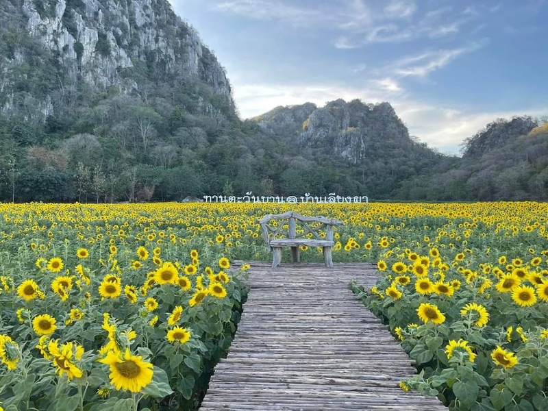 9th september eat drink tree, saraburi, so.w cafe, คาเฟ่สระบุรี, ดงพญาเย็น, ตลาดหัวปลี, ถ้ำกระบอก, ถ้ำนาคา, ถ้ำมรกตอธิบดีเวชสุวรรณ, ทานตะวันสระบุรี, ท้ายเขื่อนป่าสักชลสิทธิ์, ท้าวเวชสุวรรณร่างมนุษย์, ที่เที่ยวสระบุรี, ที่เที่ยวสระบุรี 2023, ที่เที่ยวสระบุรี 2024, ที่เที่ยวสระบุรี 2566, ที่เที่ยวสระบุรี 2567, ที่เที่ยวสระบุรี ธรรมชาติ, ทุ่งทานตะวัน, น้ำตก สระบุรี, น้ำตกดงพญาเย็น, น้ำตกสามหลั่น, น้ำตกเจ็ดสาวน้อย, นิวซีแลนด์เมืองไทย, บ้านเลียงผา, พระพุทธรูปหินลาวา, พุแค, ฟาร์มโคนม, ฟาร์มโคนมไทยเดนมาร์ค, วัดถ้ำกระบอก, วัดถ้ำบาดาล, วัดป่าสว่างบุญ, วัดพระพุทธบาท, วัดเจดีย์500 ยอด, วัดแก่งคอย, สระบุรี, สระบุรี ที่เที่ยว, สวนดอกเบญจมาศ บิ๊กเต้, สวนบิ๊กเต้, สวนพฤกษศาสตร์พุแค, หน่วยพิทักษ์ป่าท่าฤทธิ์, อ่างเก็บน้ำมวกเหล็ก, อ่างเก็บน้ำสระบุรี, อุทยานแห่งชาติน้ำตกสามหลั่น, อุโมงค์พระพุทธฉาย, อุโมงค์รถไฟ, เจ็ดคต, เจ็ดคต โป่งก้อนเส้า, เจ็ดสาวน้อย, เที่ยวสระบุรี, เที่ยวสระบุรี 2023, เที่ยวสระบุรี 2024, เที่ยวสระบุรี 2567, top 20+ ที่เที่ยวสระบุรี [กรกฎาคม2024] ใกล้ชิดธรรมชาติฟิน ๆ ไม่ไกลกรุงเทพฯ