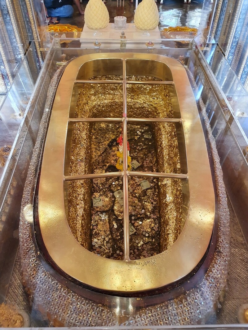 9th september eat drink tree, saraburi, so.w cafe, คาเฟ่สระบุรี, ดงพญาเย็น, ตลาดหัวปลี, ถ้ำกระบอก, ถ้ำนาคา, ถ้ำมรกตอธิบดีเวชสุวรรณ, ทานตะวันสระบุรี, ท้ายเขื่อนป่าสักชลสิทธิ์, ท้าวเวชสุวรรณร่างมนุษย์, ที่เที่ยวสระบุรี, ที่เที่ยวสระบุรี 2023, ที่เที่ยวสระบุรี 2024, ที่เที่ยวสระบุรี 2566, ที่เที่ยวสระบุรี 2567, ที่เที่ยวสระบุรี ธรรมชาติ, ทุ่งทานตะวัน, น้ำตก สระบุรี, น้ำตกดงพญาเย็น, น้ำตกสามหลั่น, น้ำตกเจ็ดสาวน้อย, นิวซีแลนด์เมืองไทย, บ้านเลียงผา, พระพุทธรูปหินลาวา, พุแค, ฟาร์มโคนม, ฟาร์มโคนมไทยเดนมาร์ค, วัดถ้ำกระบอก, วัดถ้ำบาดาล, วัดป่าสว่างบุญ, วัดพระพุทธบาท, วัดเจดีย์500 ยอด, วัดแก่งคอย, สระบุรี, สระบุรี ที่เที่ยว, สวนดอกเบญจมาศ บิ๊กเต้, สวนบิ๊กเต้, สวนพฤกษศาสตร์พุแค, หน่วยพิทักษ์ป่าท่าฤทธิ์, อ่างเก็บน้ำมวกเหล็ก, อ่างเก็บน้ำสระบุรี, อุทยานแห่งชาติน้ำตกสามหลั่น, อุโมงค์พระพุทธฉาย, อุโมงค์รถไฟ, เจ็ดคต, เจ็ดคต โป่งก้อนเส้า, เจ็ดสาวน้อย, เที่ยวสระบุรี, เที่ยวสระบุรี 2023, เที่ยวสระบุรี 2024, เที่ยวสระบุรี 2567, top 20+ ที่เที่ยวสระบุรี [กรกฎาคม2024] ใกล้ชิดธรรมชาติฟิน ๆ ไม่ไกลกรุงเทพฯ