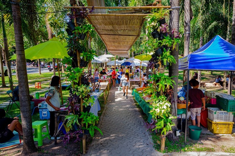 9th september eat drink tree, saraburi, so.w cafe, คาเฟ่สระบุรี, ดงพญาเย็น, ตลาดหัวปลี, ถ้ำกระบอก, ถ้ำนาคา, ถ้ำมรกตอธิบดีเวชสุวรรณ, ทานตะวันสระบุรี, ท้ายเขื่อนป่าสักชลสิทธิ์, ท้าวเวชสุวรรณร่างมนุษย์, ที่เที่ยวสระบุรี, ที่เที่ยวสระบุรี 2023, ที่เที่ยวสระบุรี 2024, ที่เที่ยวสระบุรี 2566, ที่เที่ยวสระบุรี 2567, ที่เที่ยวสระบุรี ธรรมชาติ, ทุ่งทานตะวัน, น้ำตก สระบุรี, น้ำตกดงพญาเย็น, น้ำตกสามหลั่น, น้ำตกเจ็ดสาวน้อย, นิวซีแลนด์เมืองไทย, บ้านเลียงผา, พระพุทธรูปหินลาวา, พุแค, ฟาร์มโคนม, ฟาร์มโคนมไทยเดนมาร์ค, วัดถ้ำกระบอก, วัดถ้ำบาดาล, วัดป่าสว่างบุญ, วัดพระพุทธบาท, วัดเจดีย์500 ยอด, วัดแก่งคอย, สระบุรี, สระบุรี ที่เที่ยว, สวนดอกเบญจมาศ บิ๊กเต้, สวนบิ๊กเต้, สวนพฤกษศาสตร์พุแค, หน่วยพิทักษ์ป่าท่าฤทธิ์, อ่างเก็บน้ำมวกเหล็ก, อ่างเก็บน้ำสระบุรี, อุทยานแห่งชาติน้ำตกสามหลั่น, อุโมงค์พระพุทธฉาย, อุโมงค์รถไฟ, เจ็ดคต, เจ็ดคต โป่งก้อนเส้า, เจ็ดสาวน้อย, เที่ยวสระบุรี, เที่ยวสระบุรี 2023, เที่ยวสระบุรี 2024, เที่ยวสระบุรี 2567, top 20+ ที่เที่ยวสระบุรี [กรกฎาคม2024] ใกล้ชิดธรรมชาติฟิน ๆ ไม่ไกลกรุงเทพฯ