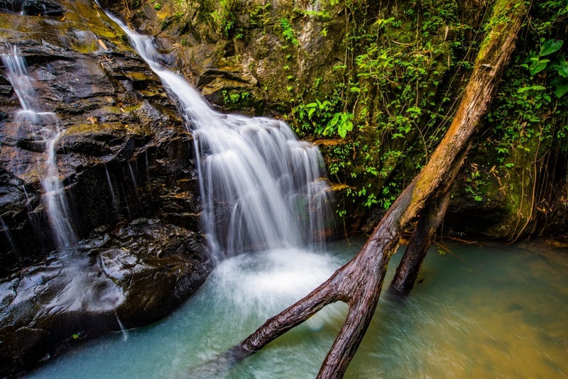 9th september eat drink tree, saraburi, so.w cafe, คาเฟ่สระบุรี, ดงพญาเย็น, ตลาดหัวปลี, ถ้ำกระบอก, ถ้ำนาคา, ถ้ำมรกตอธิบดีเวชสุวรรณ, ทานตะวันสระบุรี, ท้ายเขื่อนป่าสักชลสิทธิ์, ท้าวเวชสุวรรณร่างมนุษย์, ที่เที่ยวสระบุรี, ที่เที่ยวสระบุรี 2023, ที่เที่ยวสระบุรี 2024, ที่เที่ยวสระบุรี 2566, ที่เที่ยวสระบุรี 2567, ที่เที่ยวสระบุรี ธรรมชาติ, ทุ่งทานตะวัน, น้ำตก สระบุรี, น้ำตกดงพญาเย็น, น้ำตกสามหลั่น, น้ำตกเจ็ดสาวน้อย, นิวซีแลนด์เมืองไทย, บ้านเลียงผา, พระพุทธรูปหินลาวา, พุแค, ฟาร์มโคนม, ฟาร์มโคนมไทยเดนมาร์ค, วัดถ้ำกระบอก, วัดถ้ำบาดาล, วัดป่าสว่างบุญ, วัดพระพุทธบาท, วัดเจดีย์500 ยอด, วัดแก่งคอย, สระบุรี, สระบุรี ที่เที่ยว, สวนดอกเบญจมาศ บิ๊กเต้, สวนบิ๊กเต้, สวนพฤกษศาสตร์พุแค, หน่วยพิทักษ์ป่าท่าฤทธิ์, อ่างเก็บน้ำมวกเหล็ก, อ่างเก็บน้ำสระบุรี, อุทยานแห่งชาติน้ำตกสามหลั่น, อุโมงค์พระพุทธฉาย, อุโมงค์รถไฟ, เจ็ดคต, เจ็ดคต โป่งก้อนเส้า, เจ็ดสาวน้อย, เที่ยวสระบุรี, เที่ยวสระบุรี 2023, เที่ยวสระบุรี 2024, เที่ยวสระบุรี 2567, top 20+ ที่เที่ยวสระบุรี [กรกฎาคม2024] ใกล้ชิดธรรมชาติฟิน ๆ ไม่ไกลกรุงเทพฯ