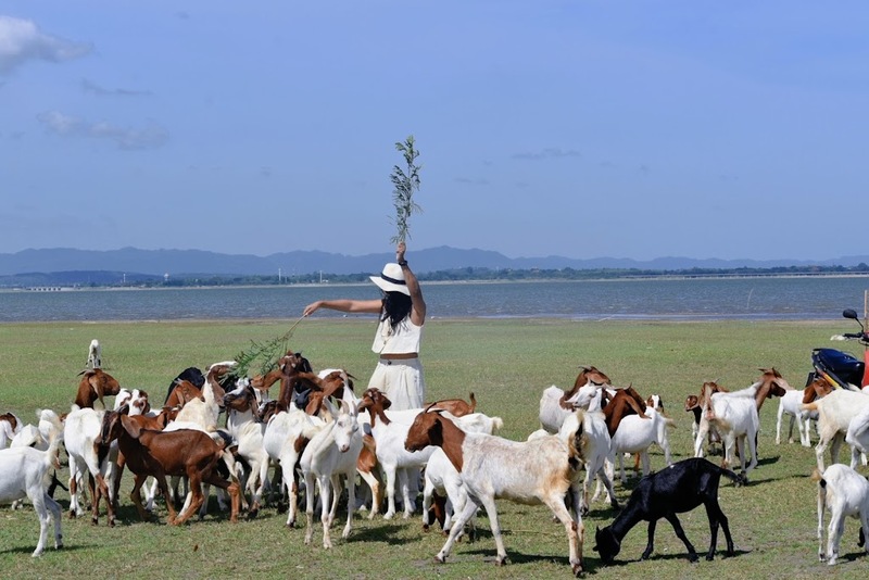 9th september eat drink tree, saraburi, so.w cafe, คาเฟ่สระบุรี, ดงพญาเย็น, ตลาดหัวปลี, ถ้ำกระบอก, ถ้ำนาคา, ถ้ำมรกตอธิบดีเวชสุวรรณ, ทานตะวันสระบุรี, ท้ายเขื่อนป่าสักชลสิทธิ์, ท้าวเวชสุวรรณร่างมนุษย์, ที่เที่ยวสระบุรี, ที่เที่ยวสระบุรี 2023, ที่เที่ยวสระบุรี 2024, ที่เที่ยวสระบุรี 2566, ที่เที่ยวสระบุรี 2567, ที่เที่ยวสระบุรี ธรรมชาติ, ทุ่งทานตะวัน, น้ำตก สระบุรี, น้ำตกดงพญาเย็น, น้ำตกสามหลั่น, น้ำตกเจ็ดสาวน้อย, นิวซีแลนด์เมืองไทย, บ้านเลียงผา, พระพุทธรูปหินลาวา, พุแค, ฟาร์มโคนม, ฟาร์มโคนมไทยเดนมาร์ค, วัดถ้ำกระบอก, วัดถ้ำบาดาล, วัดป่าสว่างบุญ, วัดพระพุทธบาท, วัดเจดีย์500 ยอด, วัดแก่งคอย, สระบุรี, สระบุรี ที่เที่ยว, สวนดอกเบญจมาศ บิ๊กเต้, สวนบิ๊กเต้, สวนพฤกษศาสตร์พุแค, หน่วยพิทักษ์ป่าท่าฤทธิ์, อ่างเก็บน้ำมวกเหล็ก, อ่างเก็บน้ำสระบุรี, อุทยานแห่งชาติน้ำตกสามหลั่น, อุโมงค์พระพุทธฉาย, อุโมงค์รถไฟ, เจ็ดคต, เจ็ดคต โป่งก้อนเส้า, เจ็ดสาวน้อย, เที่ยวสระบุรี, เที่ยวสระบุรี 2023, เที่ยวสระบุรี 2024, เที่ยวสระบุรี 2567, top 20+ ที่เที่ยวสระบุรี [กรกฎาคม2024] ใกล้ชิดธรรมชาติฟิน ๆ ไม่ไกลกรุงเทพฯ