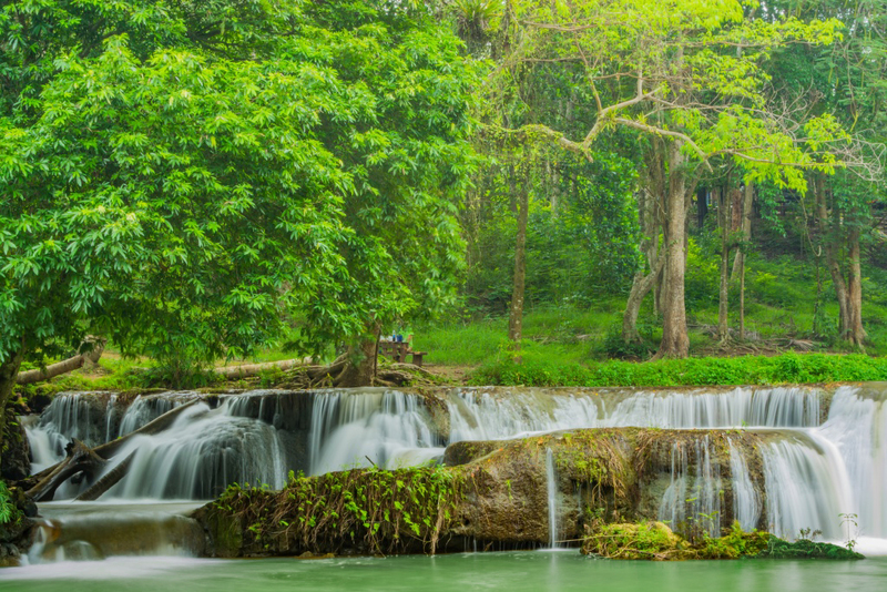 9th september eat drink tree, saraburi, so.w cafe, คาเฟ่สระบุรี, ดงพญาเย็น, ตลาดหัวปลี, ถ้ำกระบอก, ถ้ำนาคา, ถ้ำมรกตอธิบดีเวชสุวรรณ, ทานตะวันสระบุรี, ท้ายเขื่อนป่าสักชลสิทธิ์, ท้าวเวชสุวรรณร่างมนุษย์, ที่เที่ยวสระบุรี, ที่เที่ยวสระบุรี 2023, ที่เที่ยวสระบุรี 2024, ที่เที่ยวสระบุรี 2566, ที่เที่ยวสระบุรี 2567, ที่เที่ยวสระบุรี ธรรมชาติ, ทุ่งทานตะวัน, น้ำตก สระบุรี, น้ำตกดงพญาเย็น, น้ำตกสามหลั่น, น้ำตกเจ็ดสาวน้อย, นิวซีแลนด์เมืองไทย, บ้านเลียงผา, พระพุทธรูปหินลาวา, พุแค, ฟาร์มโคนม, ฟาร์มโคนมไทยเดนมาร์ค, วัดถ้ำกระบอก, วัดถ้ำบาดาล, วัดป่าสว่างบุญ, วัดพระพุทธบาท, วัดเจดีย์500 ยอด, วัดแก่งคอย, สระบุรี, สระบุรี ที่เที่ยว, สวนดอกเบญจมาศ บิ๊กเต้, สวนบิ๊กเต้, สวนพฤกษศาสตร์พุแค, หน่วยพิทักษ์ป่าท่าฤทธิ์, อ่างเก็บน้ำมวกเหล็ก, อ่างเก็บน้ำสระบุรี, อุทยานแห่งชาติน้ำตกสามหลั่น, อุโมงค์พระพุทธฉาย, อุโมงค์รถไฟ, เจ็ดคต, เจ็ดคต โป่งก้อนเส้า, เจ็ดสาวน้อย, เที่ยวสระบุรี, เที่ยวสระบุรี 2023, เที่ยวสระบุรี 2024, เที่ยวสระบุรี 2567, top 20+ ที่เที่ยวสระบุรี [กรกฎาคม2024] ใกล้ชิดธรรมชาติฟิน ๆ ไม่ไกลกรุงเทพฯ