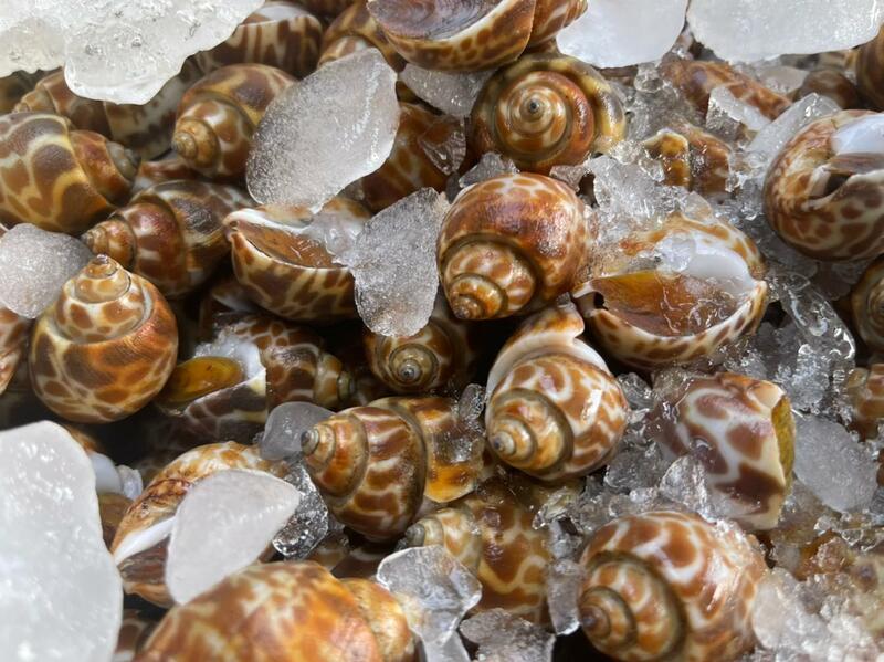 รวมร้านปิ้งย่างระยอง : 8 ร้านปิ้งย่างเจ้าเด็ดระยอง มีให้เลือกทั้งบุฟเฟ่ต์ และ a la carte บอกเลยสายกินไม่ควรพลาด