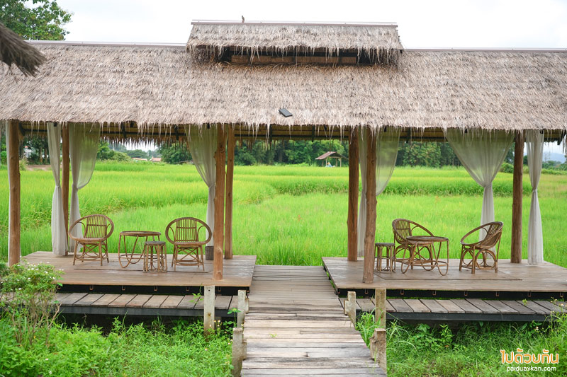 ร้านกาแฟปัว, คาเฟ่ปัว, slow na cafe ปัว, slow na cafe จิบกาแฟรสดี บรรยากาศริมทุ่ง