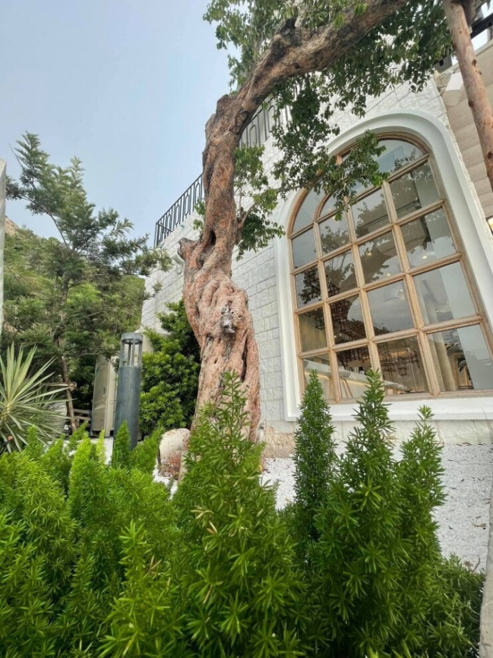 top 10+ คาเฟ่อ่างศิลา 2567 เขาสามมุข บรรยากาศดี ใกล้กรุงเทพ