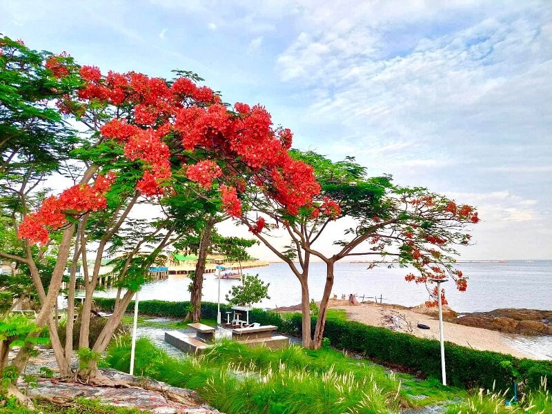 top 10+ คาเฟ่อ่างศิลา 2567 เขาสามมุข บรรยากาศดี ใกล้กรุงเทพ