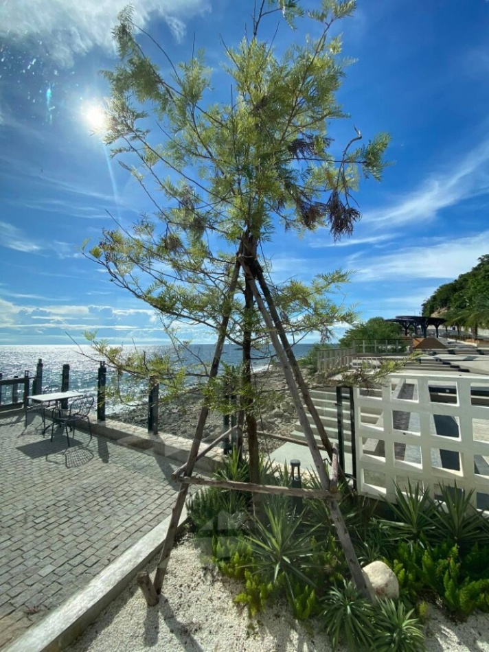 top 10+ คาเฟ่อ่างศิลา 2567 เขาสามมุข บรรยากาศดี ใกล้กรุงเทพ