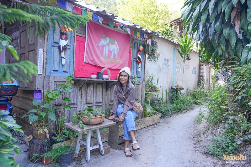 แม่กำปอง, ร้านกาแฟแม่, ปิรันย่า คอฟฟี่ แม่กำปอง ร้านฟีลโฮมมี่ กาแฟอร่อย