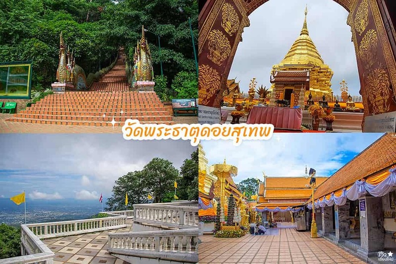 early owls, graincafecnx, กาดบะป๊าว, กิ่วแม่ปานเชียงใหม่, ที่เที่ยว เชียงใหม่, ที่เที่ยวใหม่เชียงใหม่, รีวิวที่เที่ยว เชียงใหม่, รีวิวเที่ยวเชียงใหม่, วางแผนเที่ยวเชียงใหม่, อุตสาชงที่บ้าน, เที่ยวเชียงใหม่, เส้นทางเที่ยวเชียงใหม่, แลนด์มาร์คเชียงใหม่, ใต้ถุนบ้าน, เที่ยวเชียงใหม่ 30 แลนด์มาร์ค ห้ามพลาด