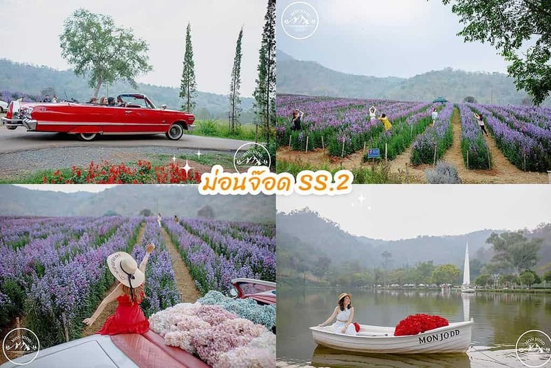 early owls, graincafecnx, กาดบะป๊าว, กิ่วแม่ปานเชียงใหม่, ที่เที่ยว เชียงใหม่, ที่เที่ยวใหม่เชียงใหม่, รีวิวที่เที่ยว เชียงใหม่, รีวิวเที่ยวเชียงใหม่, วางแผนเที่ยวเชียงใหม่, อุตสาชงที่บ้าน, เที่ยวเชียงใหม่, เส้นทางเที่ยวเชียงใหม่, แลนด์มาร์คเชียงใหม่, ใต้ถุนบ้าน, เที่ยวเชียงใหม่ 30 แลนด์มาร์ค ห้ามพลาด