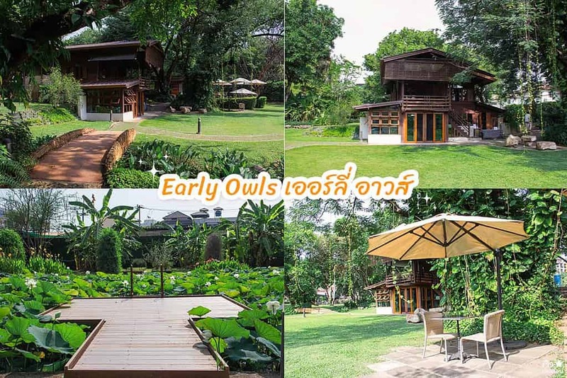 early owls, graincafecnx, กาดบะป๊าว, กิ่วแม่ปานเชียงใหม่, ที่เที่ยว เชียงใหม่, ที่เที่ยวใหม่เชียงใหม่, รีวิวที่เที่ยว เชียงใหม่, รีวิวเที่ยวเชียงใหม่, วางแผนเที่ยวเชียงใหม่, อุตสาชงที่บ้าน, เที่ยวเชียงใหม่, เส้นทางเที่ยวเชียงใหม่, แลนด์มาร์คเชียงใหม่, ใต้ถุนบ้าน, เที่ยวเชียงใหม่ 30 แลนด์มาร์ค ห้ามพลาด