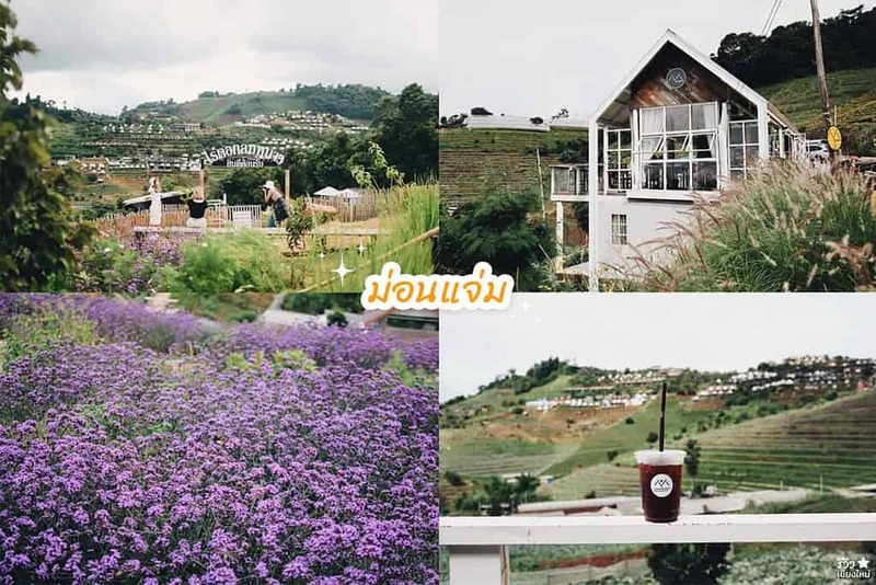 early owls, graincafecnx, กาดบะป๊าว, กิ่วแม่ปานเชียงใหม่, ที่เที่ยว เชียงใหม่, ที่เที่ยวใหม่เชียงใหม่, รีวิวที่เที่ยว เชียงใหม่, รีวิวเที่ยวเชียงใหม่, วางแผนเที่ยวเชียงใหม่, อุตสาชงที่บ้าน, เที่ยวเชียงใหม่, เส้นทางเที่ยวเชียงใหม่, แลนด์มาร์คเชียงใหม่, ใต้ถุนบ้าน, เที่ยวเชียงใหม่ 30 แลนด์มาร์ค ห้ามพลาด