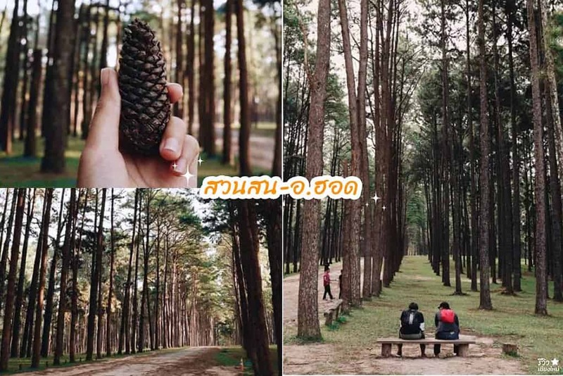 early owls, graincafecnx, กาดบะป๊าว, กิ่วแม่ปานเชียงใหม่, ที่เที่ยว เชียงใหม่, ที่เที่ยวใหม่เชียงใหม่, รีวิวที่เที่ยว เชียงใหม่, รีวิวเที่ยวเชียงใหม่, วางแผนเที่ยวเชียงใหม่, อุตสาชงที่บ้าน, เที่ยวเชียงใหม่, เส้นทางเที่ยวเชียงใหม่, แลนด์มาร์คเชียงใหม่, ใต้ถุนบ้าน, เที่ยวเชียงใหม่ 30 แลนด์มาร์ค ห้ามพลาด