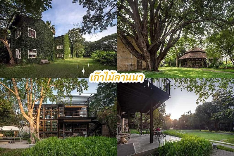 early owls, graincafecnx, กาดบะป๊าว, กิ่วแม่ปานเชียงใหม่, ที่เที่ยว เชียงใหม่, ที่เที่ยวใหม่เชียงใหม่, รีวิวที่เที่ยว เชียงใหม่, รีวิวเที่ยวเชียงใหม่, วางแผนเที่ยวเชียงใหม่, อุตสาชงที่บ้าน, เที่ยวเชียงใหม่, เส้นทางเที่ยวเชียงใหม่, แลนด์มาร์คเชียงใหม่, ใต้ถุนบ้าน, เที่ยวเชียงใหม่ 30 แลนด์มาร์ค ห้ามพลาด