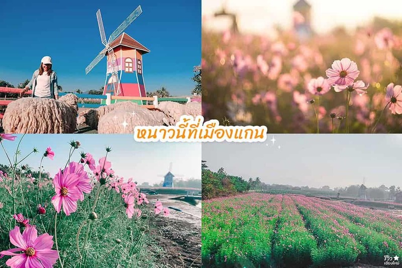 early owls, graincafecnx, กาดบะป๊าว, กิ่วแม่ปานเชียงใหม่, ที่เที่ยว เชียงใหม่, ที่เที่ยวใหม่เชียงใหม่, รีวิวที่เที่ยว เชียงใหม่, รีวิวเที่ยวเชียงใหม่, วางแผนเที่ยวเชียงใหม่, อุตสาชงที่บ้าน, เที่ยวเชียงใหม่, เส้นทางเที่ยวเชียงใหม่, แลนด์มาร์คเชียงใหม่, ใต้ถุนบ้าน, เที่ยวเชียงใหม่ 30 แลนด์มาร์ค ห้ามพลาด