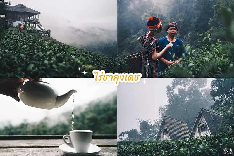 early owls, graincafecnx, กาดบะป๊าว, กิ่วแม่ปานเชียงใหม่, ที่เที่ยว เชียงใหม่, ที่เที่ยวใหม่เชียงใหม่, รีวิวที่เที่ยว เชียงใหม่, รีวิวเที่ยวเชียงใหม่, วางแผนเที่ยวเชียงใหม่, อุตสาชงที่บ้าน, เที่ยวเชียงใหม่, เส้นทางเที่ยวเชียงใหม่, แลนด์มาร์คเชียงใหม่, ใต้ถุนบ้าน, เที่ยวเชียงใหม่ 30 แลนด์มาร์ค ห้ามพลาด