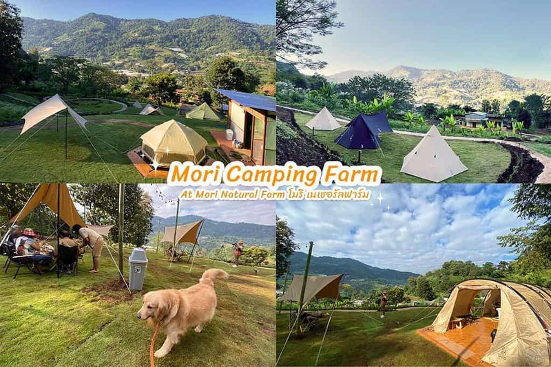 early owls, graincafecnx, กาดบะป๊าว, กิ่วแม่ปานเชียงใหม่, ที่เที่ยว เชียงใหม่, ที่เที่ยวใหม่เชียงใหม่, รีวิวที่เที่ยว เชียงใหม่, รีวิวเที่ยวเชียงใหม่, วางแผนเที่ยวเชียงใหม่, อุตสาชงที่บ้าน, เที่ยวเชียงใหม่, เส้นทางเที่ยวเชียงใหม่, แลนด์มาร์คเชียงใหม่, ใต้ถุนบ้าน, เที่ยวเชียงใหม่ 30 แลนด์มาร์ค ห้ามพลาด