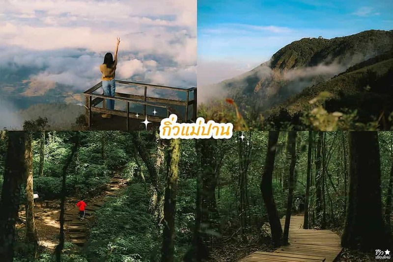 early owls, graincafecnx, กาดบะป๊าว, กิ่วแม่ปานเชียงใหม่, ที่เที่ยว เชียงใหม่, ที่เที่ยวใหม่เชียงใหม่, รีวิวที่เที่ยว เชียงใหม่, รีวิวเที่ยวเชียงใหม่, วางแผนเที่ยวเชียงใหม่, อุตสาชงที่บ้าน, เที่ยวเชียงใหม่, เส้นทางเที่ยวเชียงใหม่, แลนด์มาร์คเชียงใหม่, ใต้ถุนบ้าน, เที่ยวเชียงใหม่ 30 แลนด์มาร์ค ห้ามพลาด