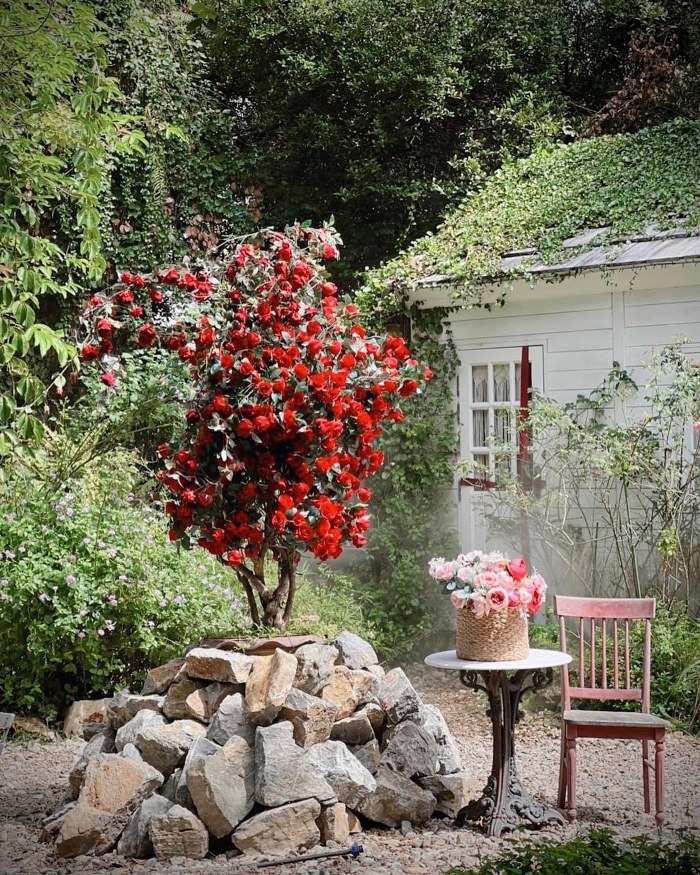 ระยอง, top 10+ คาเฟ่ระยอง 2567 คาเฟ่เปิดใหม่ ร้านกาแฟน่านั่ง บรรยากาศดี