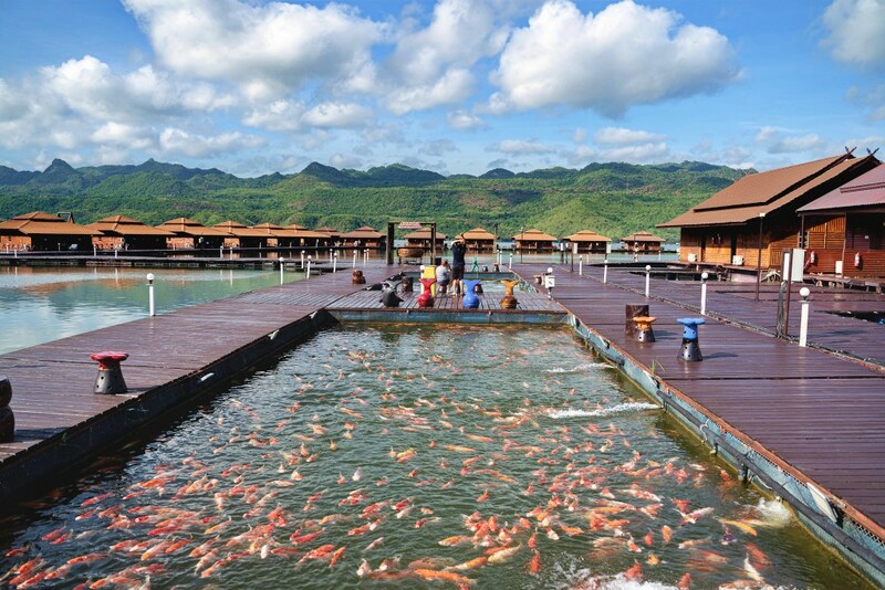 กาญจนบุรี, จองที่พักแพเมืองกาญ, ที่พัก, ที่พักเขื่อนศรีนครินทร์ 2567, ที่พักเมืองกาญ, ที่พักแพเขื่อนศรี 2024, ที่พักแพเขื่อนศรี 2567, ที่พักแพเขื่อนศรีนครินทร์ 2567, ที่เที่ยว, บ้านพักล่องแพ วินเทจ, รักษ์น้ำ รีสอร์ท, รายาบุรี รีสอร์ท, สกายเลควิวรีสอร์ท, สยามซิลเวอร์เลค รีสอร์ท, เขื่อนศรีนครินทร์, เดอะธาราเคปรีสอร์ท, เมืองกาญ, เลค เฮฟเว่น รีสอร์ท, แพที่พักกลางน้ำ, แพนันทนา, แพเขื่อนศรีนครินทร์, แพเขื่อนศรีนครินทร์ 2024, แพเขื่อนศรีนครินทร์ 2567, แพเมืองกาญ 2024, แพเมืองกาญ 2567, top 10+ ที่พัก แพเขื่อนศรีนครินทร์ [กรกฎาคม 2024] กาญจนบุรี บรรยากาศดี เล่นน้ำได้