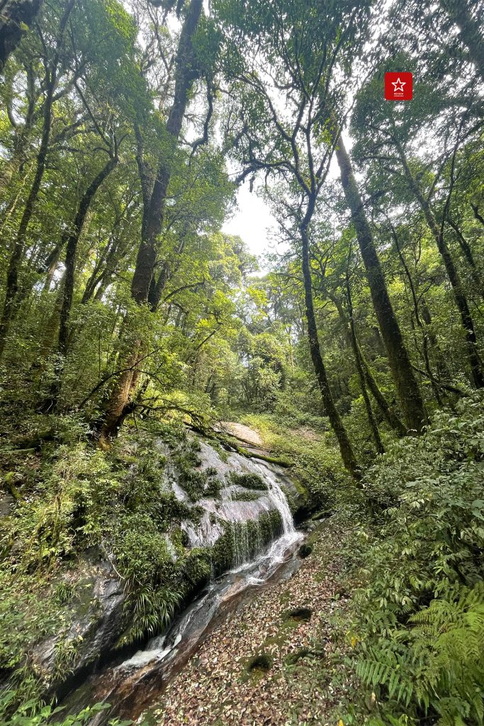 doiinthanonvantransport, กิ่วแม่ปาน, ดอยอินทนนท์, ที่เที่ยวเชียงใหม่, น้ำตกวชิรธาร, รถตู้ดอยอินทนนท์, เดินป่า, เดินป่า กิวแม่ปาน, เดินป่าเชียงใหม่, แอ่วได้แอ่วดี, กิ่วแม่ปาน เดินป่าสุดฮิตที่ใครหลายๆ คน มาเชียงใหม่แล้วต้องไม่พลาด