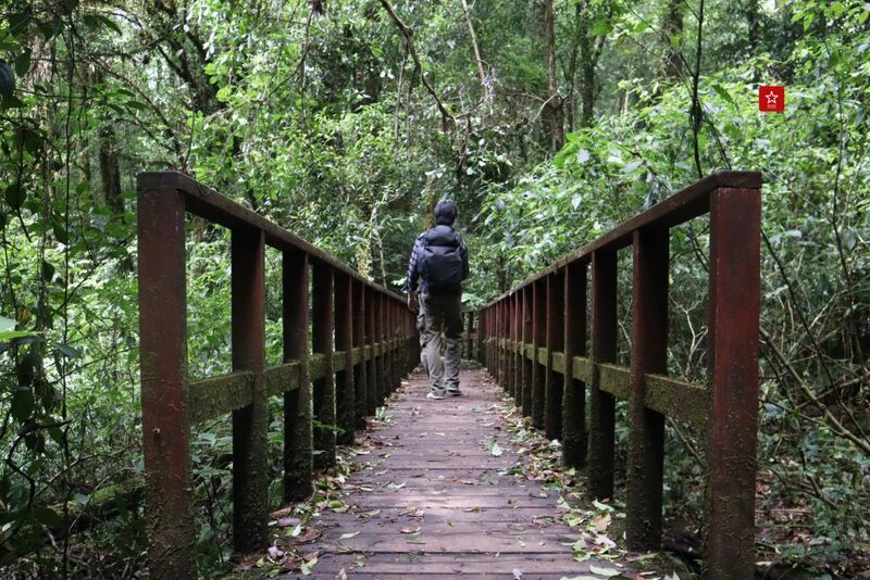 doiinthanonvantransport, กิ่วแม่ปาน, ดอยอินทนนท์, ที่เที่ยวเชียงใหม่, น้ำตกวชิรธาร, รถตู้ดอยอินทนนท์, เดินป่า, เดินป่า กิวแม่ปาน, เดินป่าเชียงใหม่, แอ่วได้แอ่วดี, กิ่วแม่ปาน เดินป่าสุดฮิตที่ใครหลายๆ คน มาเชียงใหม่แล้วต้องไม่พลาด