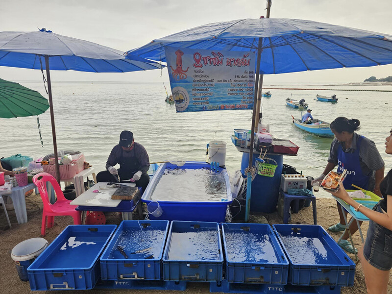 พัทยา, top 9+ ร้านลับพัทยา 2567 จอมเทียม นาเกลือ ริมทะเล อาหารทะเล ตามสั่ง ติดทะเล