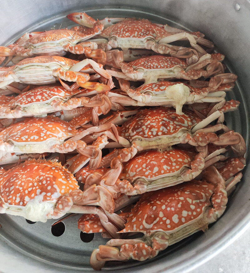 พัทยา, top 9+ ร้านลับพัทยา 2567 จอมเทียม นาเกลือ ริมทะเล อาหารทะเล ตามสั่ง ติดทะเล