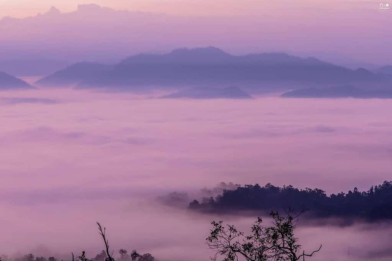 จุดชมวิว, จุดชมวิวเชียงใหม่, จุดชมวิวเมืองคอง, ดอยหลวงเชียงดาว, เชียงดาว, สัมผัสอากาศหนาวเย็นที่ จุดชมวิวเด่นทีวี เมืองคอง – เชียงดาว