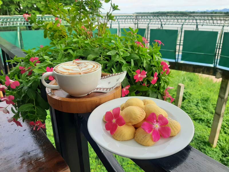 คาเฟ่ริมโขง, เที่ยวคาเฟ่นครพนม, นครพนม, คาเฟ่นครพนม, ร้านกาแฟนครพนม, ร้านกาแฟริมโขง, รวมลิสต์ 15 คาเฟ่นครพนม วิวดีริมโขง ทั้งดีไซน์คลาสสิค และมินิมอล